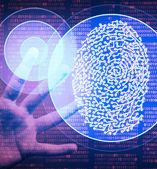 Por que escolher a RSec para a gestão de identidade e acessos da sua empresa?